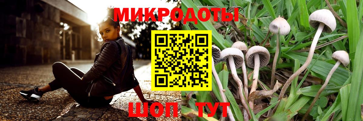 Псилоцибиновые грибы ЛСД Дивногорск
